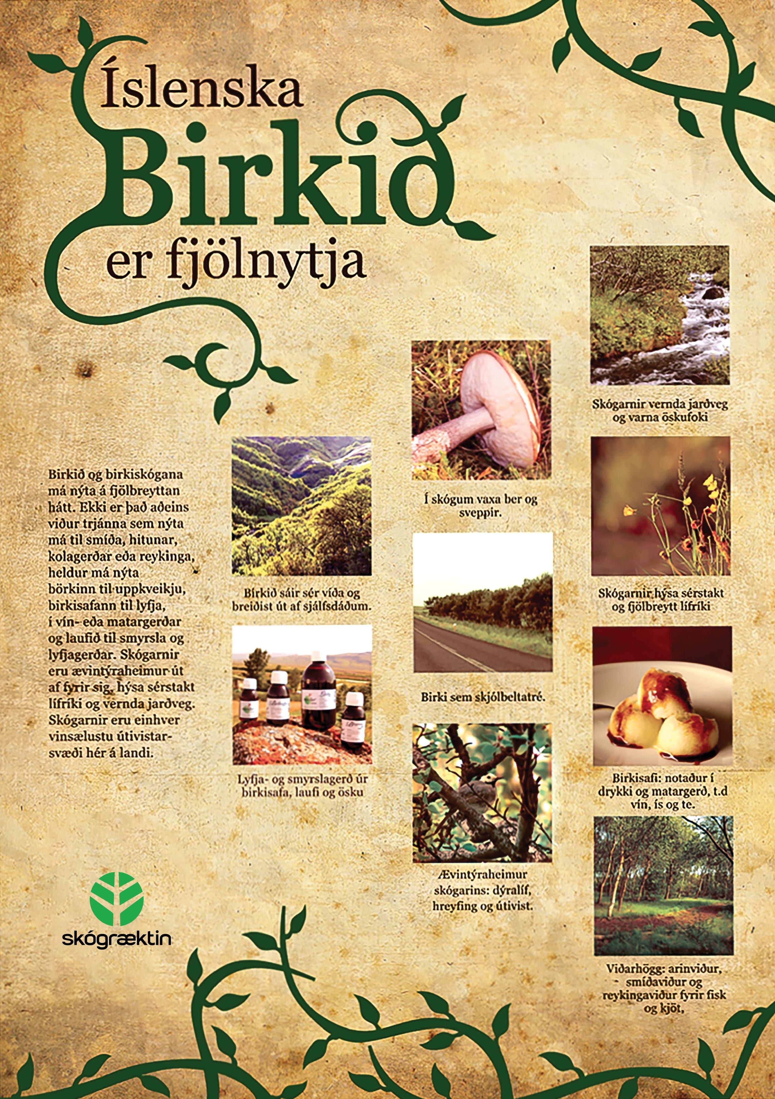 Forsíða bæklingsins