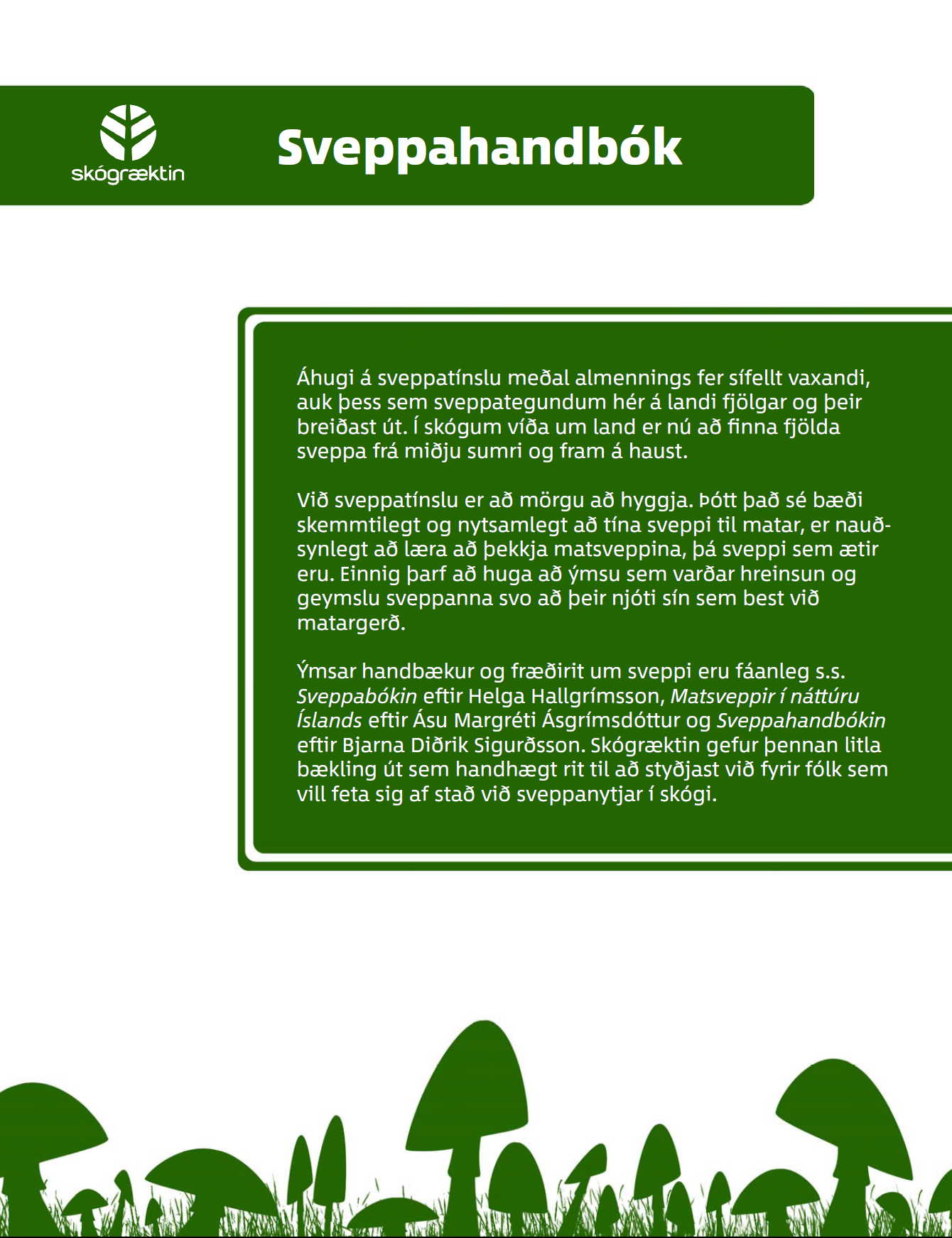 Forsíða bæklingsins