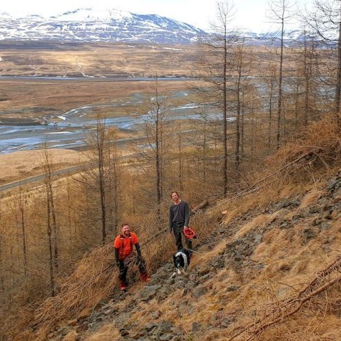 grisjun-a-silfrastodum_edited