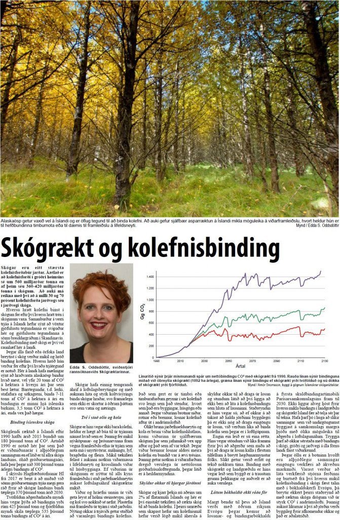 Grein Eddu í Bændablaðinu