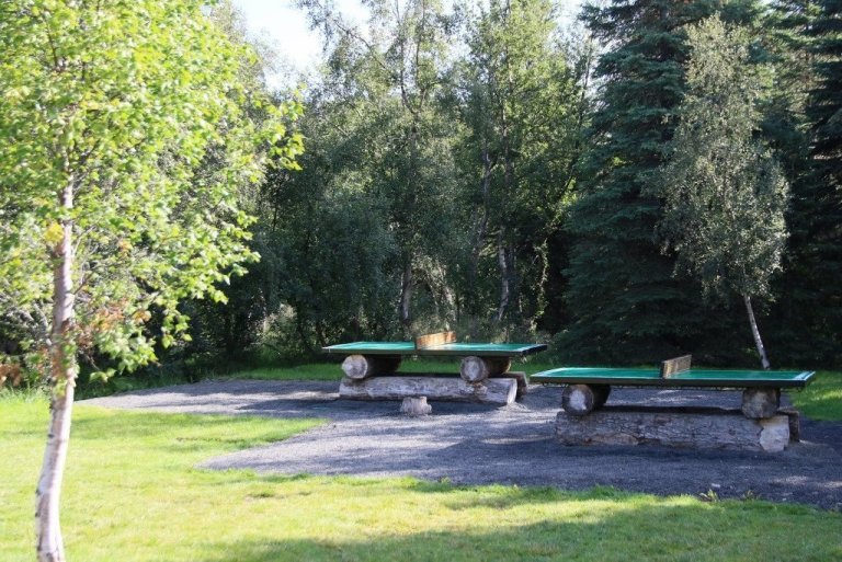 Tvö steinsteypt borðtennisborð hafa verið sett upp í skóginum.