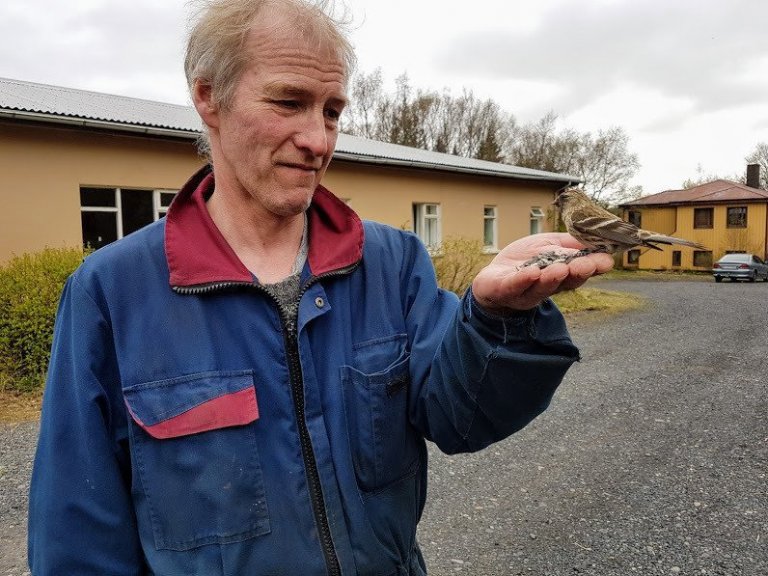 Hrafn segir aðalatriðið að sýna þolinmæði og leyfa fuglunum að venjast sér. Á endanum megi reyna að rétta út lófa með fræjum og freista þess að hugaður fugl brjóti ísinn og setjist í lófann. Þá sé líklegt að fleiri fylgi á eftir.