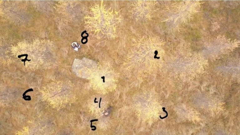 Teknir voru út þrír fimmtíu fermetra mælifletir. Meðalþvermál hefur rúmlega tvöfaldast og er komið upp í 8,3 sentímetra, á meðan trén hafa að jafnaði hækkað um fjórðung eða einn og hálfan metra.