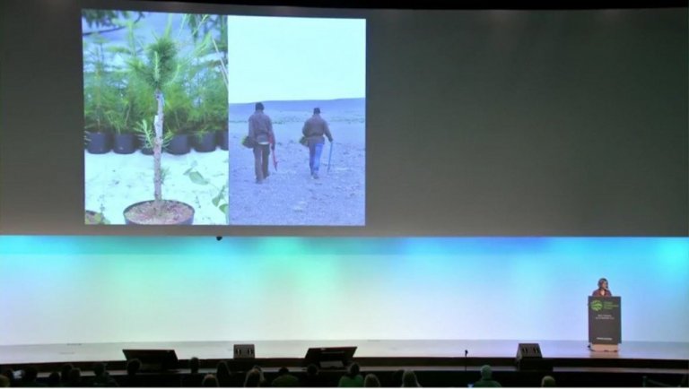 Sýning myndbandsins vakti töluverða athygli á ráðstefnunni og bæði var skrifað um það á vef ráðstefnunnar og National Geographic hefur ákveðið að taka það til sýningar á stuttmyndaveitu sinni..