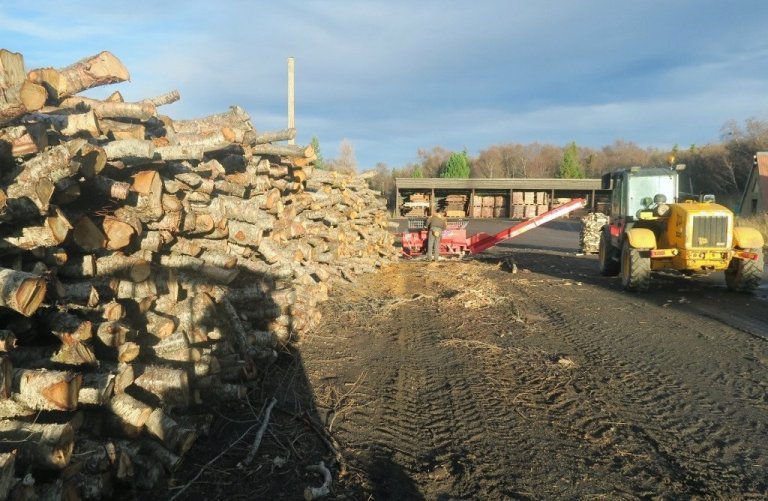 Vel hefur viðrað í haust til ýmissa verka í Hallormsstaðaskógi og þar eru komnar<br />
myndarlegar stæður af grisjunarefni, m.a. til eldiviðarframleiðslu.