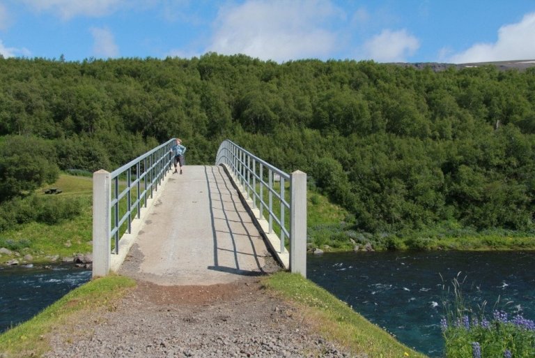 Horft yfir gömlu bogabrúna yfir Fnjóská í þjóðskóginn Vaglaskóg. Skógur hægir á rennsli vatns til sjávar. Á skóglendu landi tapast næringarefni síður ónýtt til sjávar en skógurinn leysir líka upp kalsín og fleiri efni úr bergi sem nýtast sjávarlífverum m.a. til kolefnisbindingar..