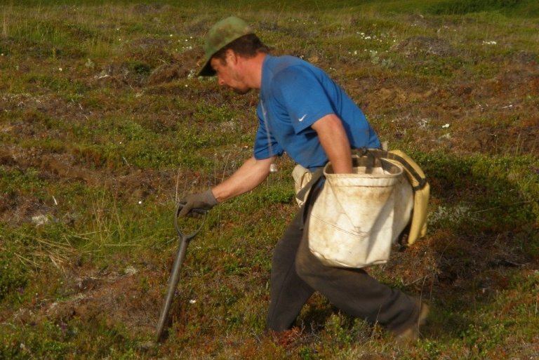 Antoine á fullri ferð við gróðursetninguna. Hann nær upp hraða með því að taka plönturnar úr bökkunum og raða þeim í þessa myndarlegu sekki sem hann ber um mittið.