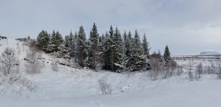 Horft til reitsins úr suðvestri.