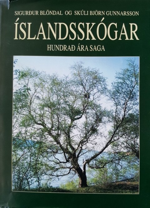 Kápa bókarinnar Íslandsskóga sem birkitréð á fljótsbakkanum í Gatnaskógi prýðir.