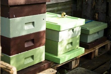 Býflugnabúin geyma dýrmætar skepnur.