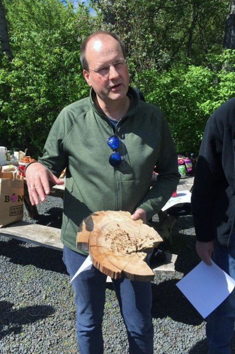 Ólafur Eggertsson, jarðfræðingur á Mógilsá, er helsti sérfræðingur landsins á sviði árhringjafræði og viðartímatalsfræði. Hann hefur greint uppruna Broddadalsnýrans og rakið það til lerkiskóga í grennd við Arkangelsk í Rússlandi.