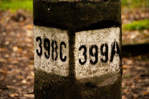 Varanlegar merkingar í skóginum.