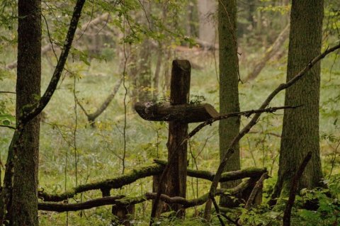 Ekki er það þó svo að maðurinn og menning hans sé algjörlega fjarri.