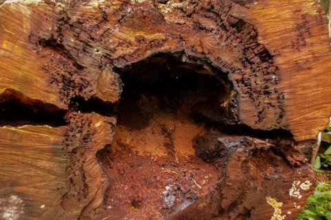 Hér er sagan skráð.