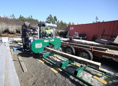 Sigurður skógarbóndi sagar vænan furubol úr skóginum. Mynd: Þuríður Jónsdóttir.