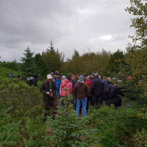 Fundargestir skoða sig um í Bolholtsskógi, einum ræktunarreita Skógræktarfélags Rangæinga, en þar var lítt gróinn svartur sandur. Ljósmynd: Ragnhildur Freysteinsdóttir