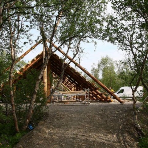 Aðengi í Vaglaskógi