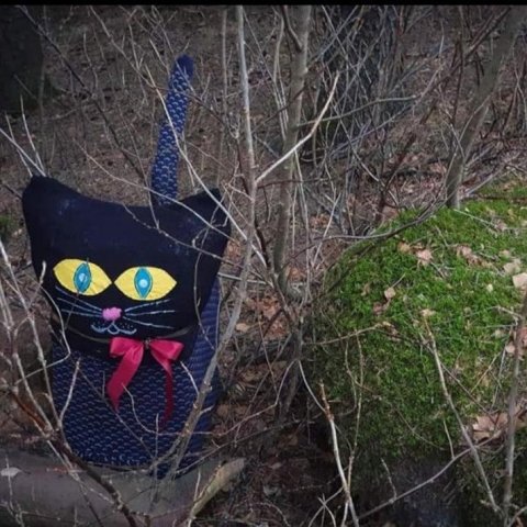 Þið kannist við jólaköttinn. Ljósmynd: Jana Aurora Frank