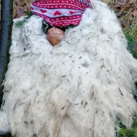 Skeggprúður jólasveinn. Ljósmynd: Jana Aurora Frank