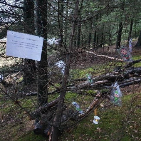 Eru álfar kannski menn? Ljósmynd: Jóna Björk Jónsdóttir