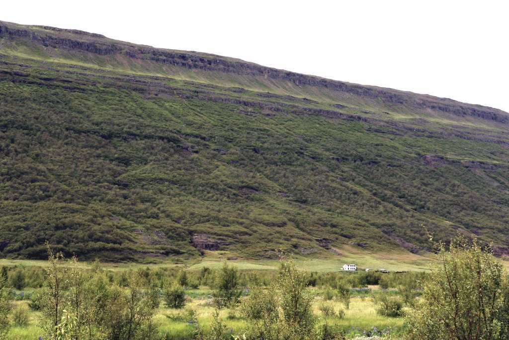 Arnaldsstaðaskógur séður handan árinnar og gamla íbúðarhúsið á Arnaldsstöðum. Ljósmynd: Pétur Halldórsson