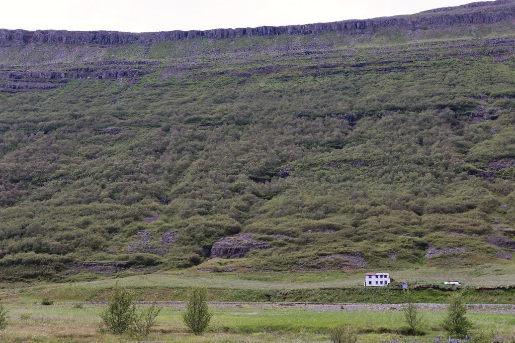 Arnaldsstaðaskógur séður handan árinnar og gamla íbúðarhúsið á Arnaldsstöðum. Ljósmynd: Pétur Halldórsson