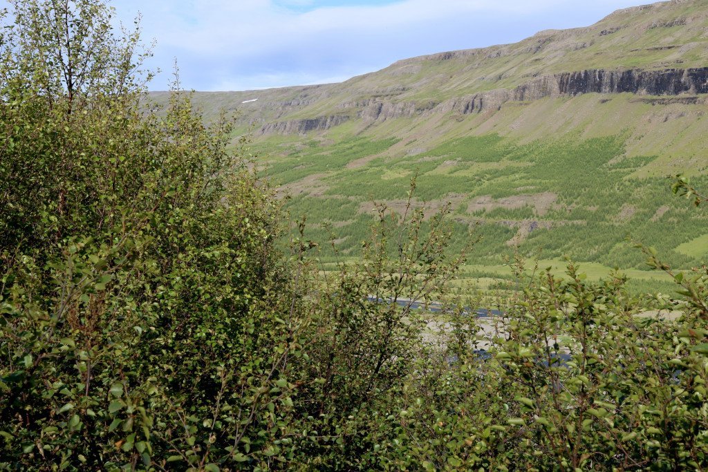 Ljósmynd: Pétur Halldórsson