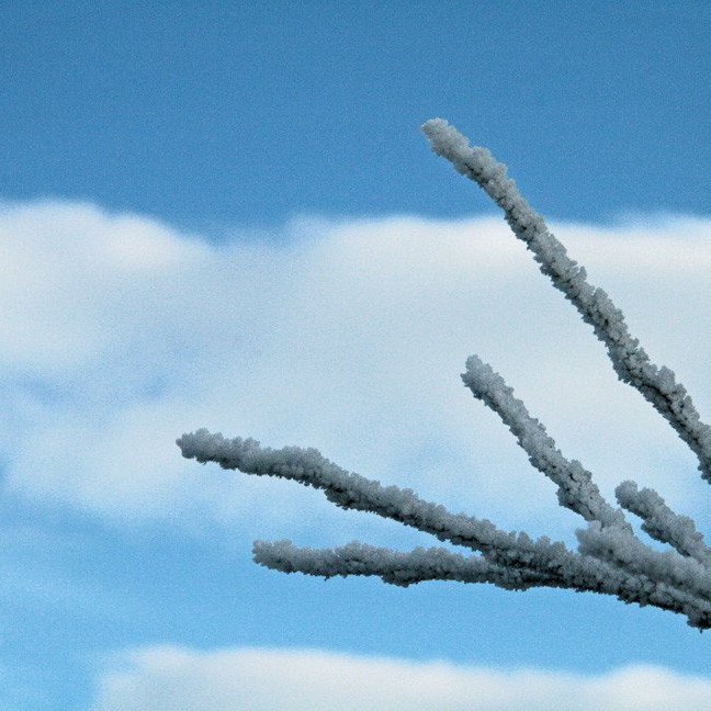 (Mynd: Esther Ösp Gunnarsdóttir)