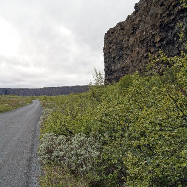 (Mynd: Esther Ösp Gunnarsdóttir)