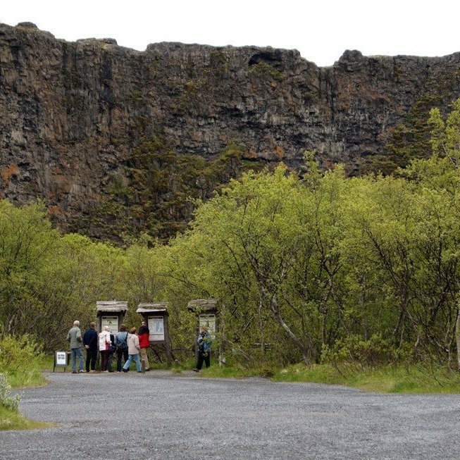 (Mynd: Esther Ösp Gunnarsdóttir)