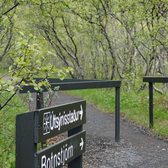 (Mynd: Esther Ösp Gunnarsdóttir)