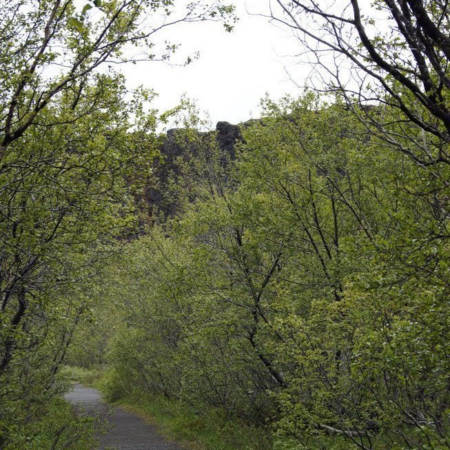 (Mynd: Esther Ösp Gunnarsdóttir)