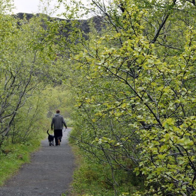 (Mynd: Esther Ösp Gunnarsdóttir)