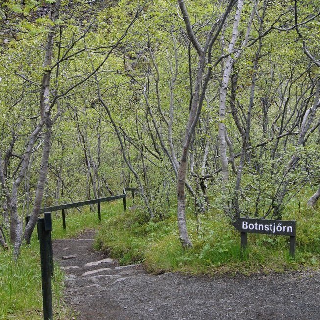 (Mynd: Esther Ösp Gunnarsdóttir)