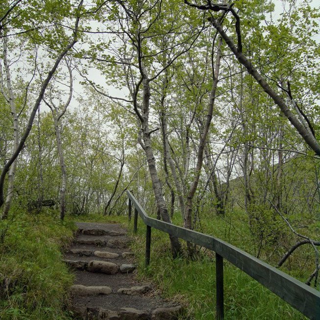 (Mynd: Esther Ösp Gunnarsdóttir)