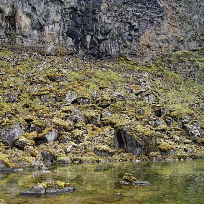 (Mynd: Esther Ösp Gunnarsdóttir)