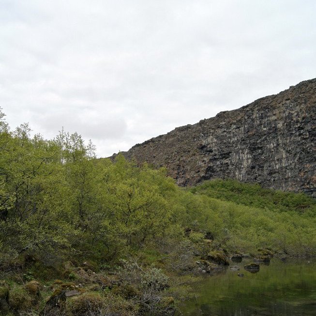 (Mynd: Esther Ösp Gunnarsdóttir)