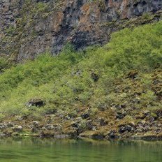 (Mynd: Esther Ösp Gunnarsdóttir)