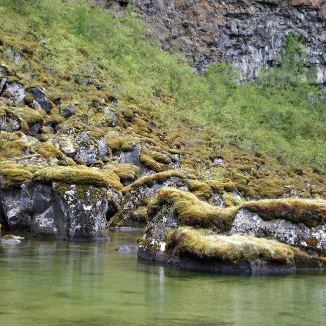 (Mynd: Esther Ösp Gunnarsdóttir)