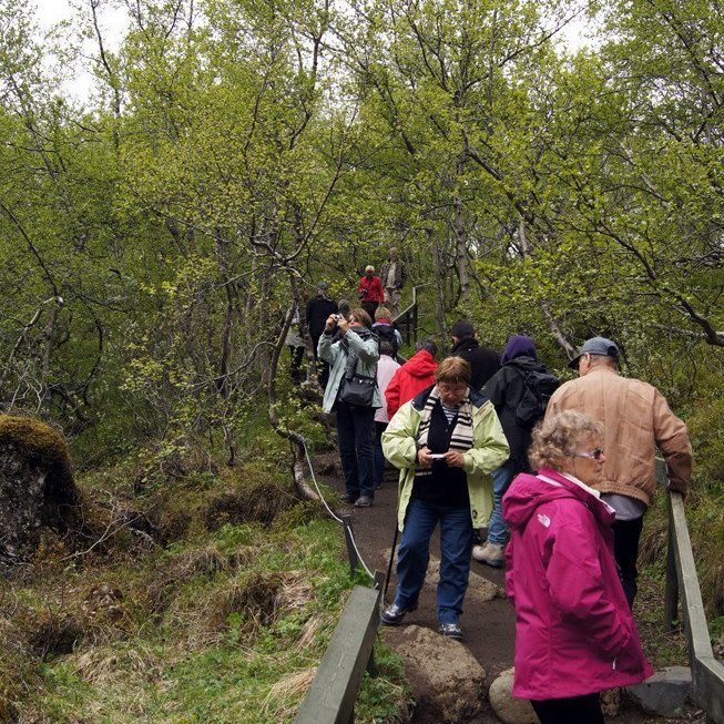 (Mynd: Esther Ösp Gunnarsdóttir)