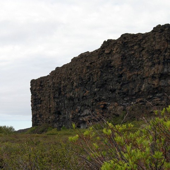 (Mynd: Esther Ösp Gunnarsdóttir)