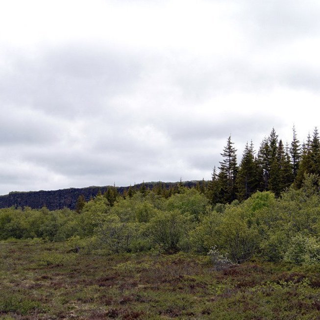 (Mynd: Esther Ösp Gunnarsdóttir)