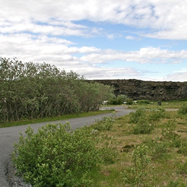 (mynd: Esther Ösp Gunnarsdóttir)