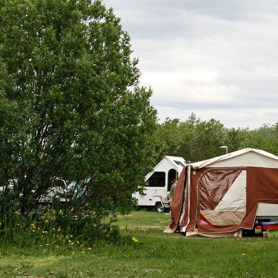 (mynd: Esther Ösp Gunnarsdóttir)