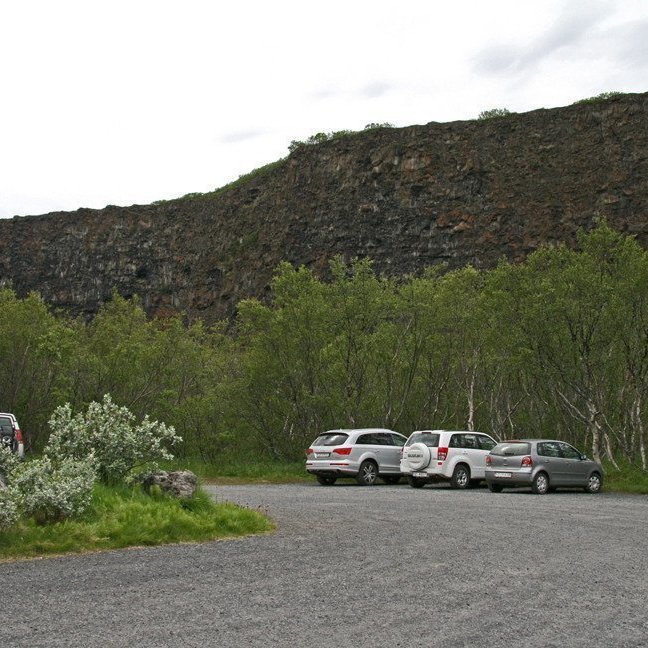 (mynd: Esther Ösp Gunnarsdóttir)