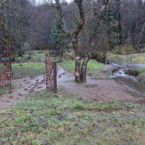 Niðri á flatlendinu við Gömlu-Gróðrarstöðina er talsverður aur á grasflötum og stígum en einnig í farvegi Naustalækjar. Ljósmynd: Pétur Halldórsson