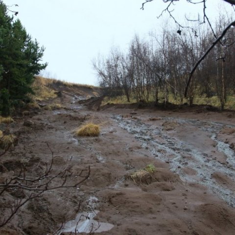 Ljósmynd: Pétur Halldórsson