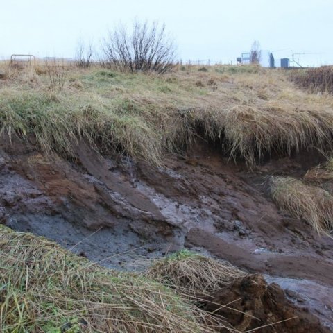 Upptök skriðunnar eru á bökkum gils þar sem alla jafna rennur sakleysislegur lækur. Jarðvegur er vatnsósa eftir rigningar síðustu daga og bakkinn hefur látið undan vatnsþunganum. Ljósmynd: Pétur Halldórsson