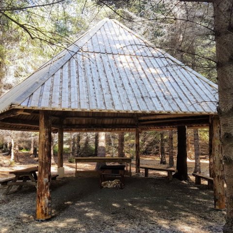 Bálskýlið í Haukadalsskógi að sumri. Ljósmynd: Trausti Jóhannsson