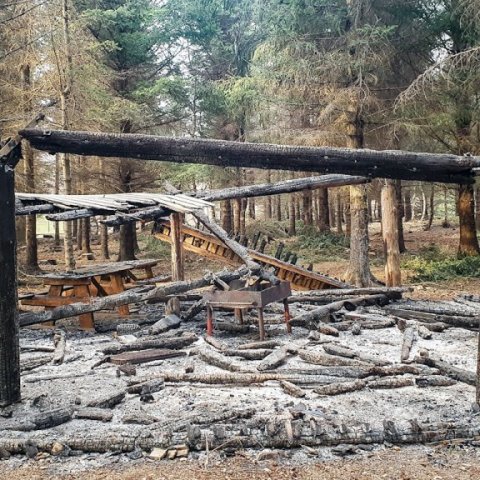 Aðkoman var ljót í Haukadalsskógi föstudaginn 5. febrúar 2021. Ljósmynd: Trausti Jóhannsson